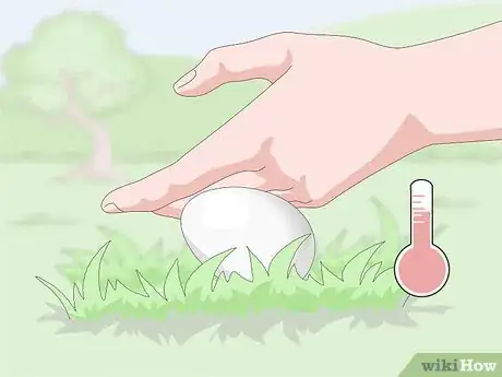 Image titled Tell if Duck Eggs Are Dead or Alive Step 12
