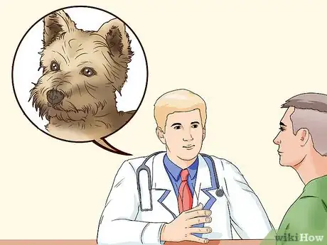 Image titled Know if Your Male Dog Is Ready to Breed Step 4