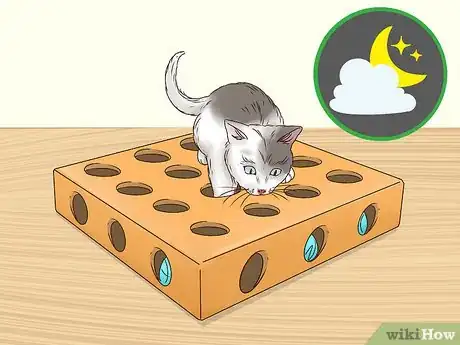 Image titled Get Your Cat to Sleep With You Step 2