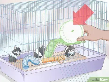 Image titled Deal with Baby Hamsters Step 14
