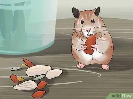 Image titled Have Fun With Your Hamster Step 21
