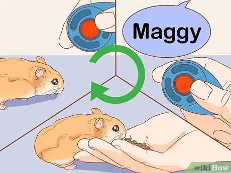 Image titled Train Your Hamster to Come when You Call Step 12