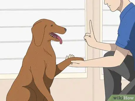 Image titled Stop a Dog from Pawing Step 12
