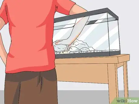Image titled Set up a Healthy Goldfish Aquarium Step 6
