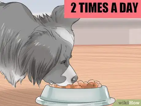 Image titled Feed Your Dog Naturally Step 13