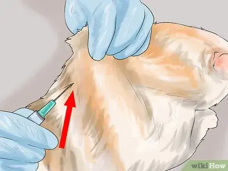 Image titled Give Subcutaneous Fluids to a Cat Step 10
