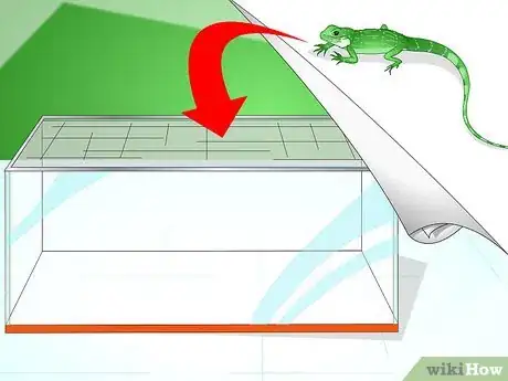 Image titled Care for Your Lizard Step 1