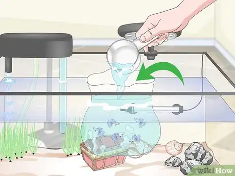 Image titled Set up a Guppy Tank Step 13