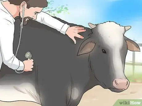 Image titled Humanely Euthanize a Cow Step 6