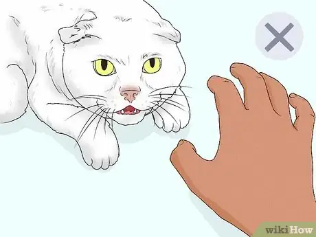 Image titled Give Your Cat a Massage Step 4