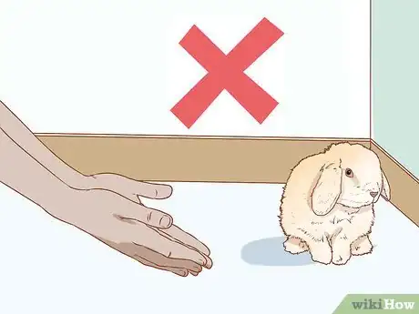 Image titled Handle Rabbits Step 2