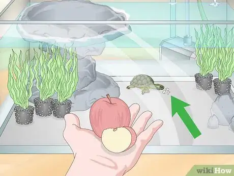 Image titled Care for a Turtle Step 10