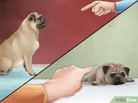 Image titled Care for a Pug Step 13