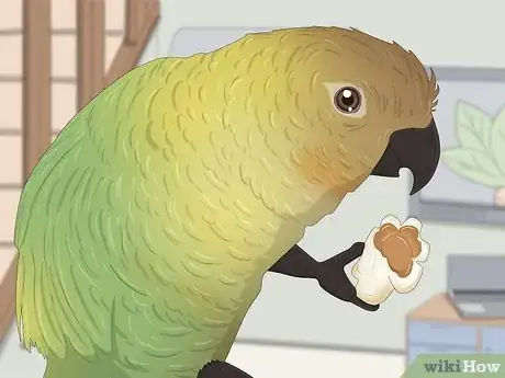 Image titled Feed a Conure Step 5
