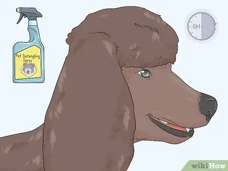 Image titled Keep Poodle Hair from Matting Step 11