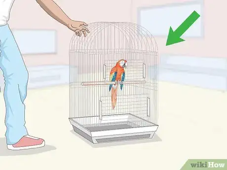 Image titled Teach Parrots to Talk Step 1