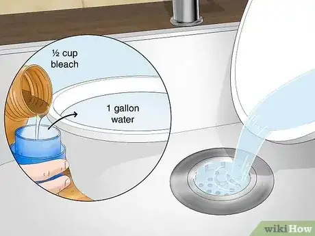 Image titled Use Home Remedies to Get Rid of Gnats Step 3