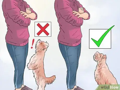 Image titled Deal with Your Annoying Dog Step 1