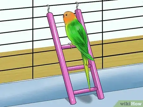 Image titled Train Your Budgie Step 7