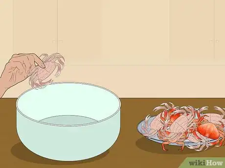Image titled Eat Dungeness Crab Step 1