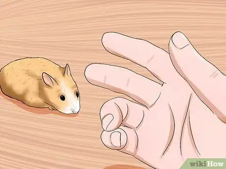 Image titled Handle a Hamster Without Being Bitten Step 8