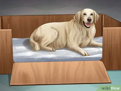 Image titled Help Your Dog After Giving Birth Step 2