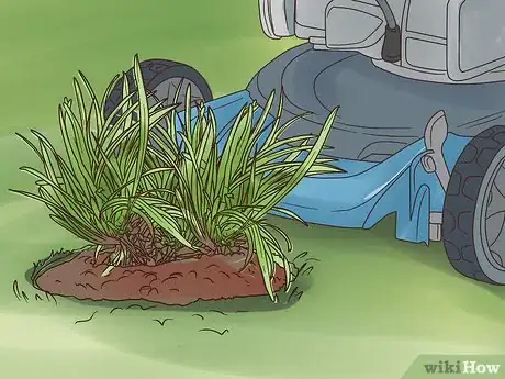 Image titled Plant Mondo Grass Step 12