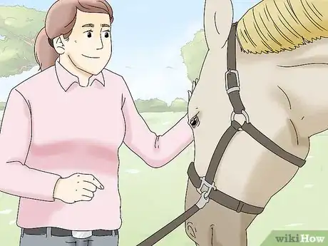 Image titled Teach Your Horse to Back up from the Ground Step 14