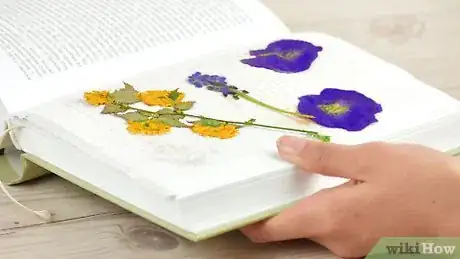 Image titled Preserve Flowers in a Book Step 10
