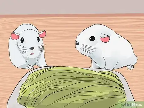 Image titled Care for Baby Guinea Pigs Step 8