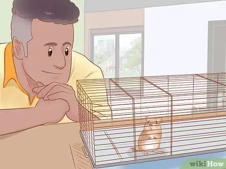 Image titled Avoid Frightening Your Pet Mouse Step 1