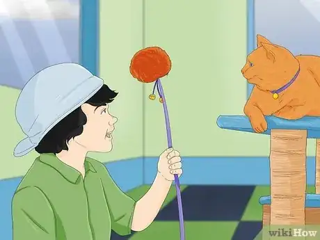 Image titled Introduce a Cat to a New Home Step 13