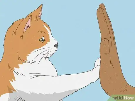 Image titled Teach Your Cat to Do Tricks Step 10