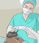 Become an Anesthesiologist