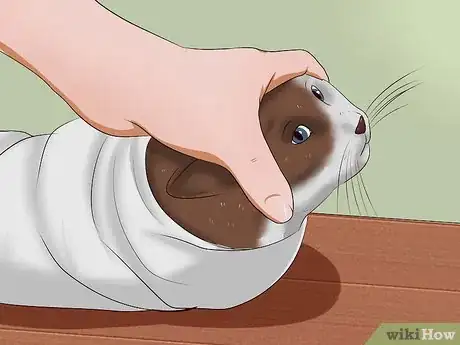 Image titled Give a Cat a Pill Step 12