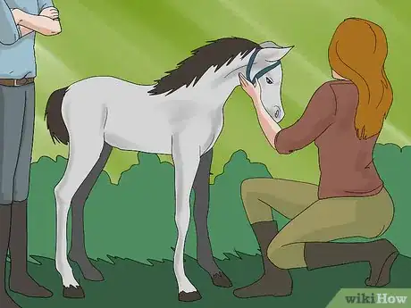 Image titled Teach a Foal to Lead Step 5