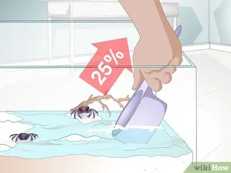 Image titled Take Care of a Purple Thai Devil Crab Step 7
