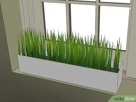 Image titled Prevent Houseplants From Damaging the Carpet Step 7