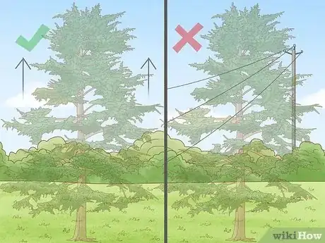 Image titled Plant Cedar Trees Step 1