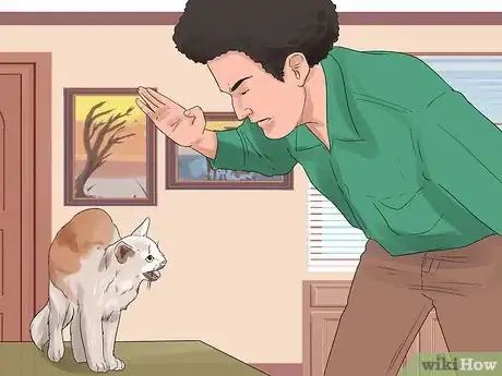 Image titled Get Your Cat to Stop Hissing Step 11