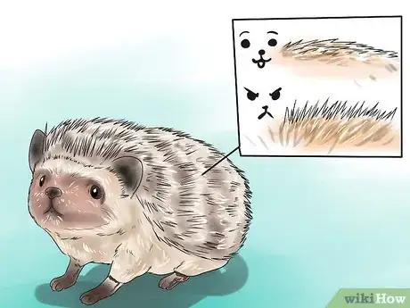 Image titled React when Your Hedgehog Bites You Step 17