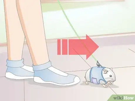 Image titled Walk Your Hamster Step 4