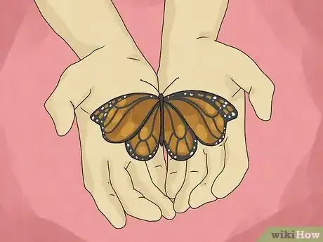 Image titled What Does It Mean when a Butterfly Lands on You Step 8