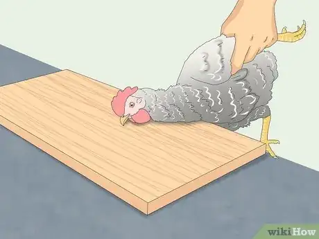 Image titled Humanely Kill a Chicken Step 10