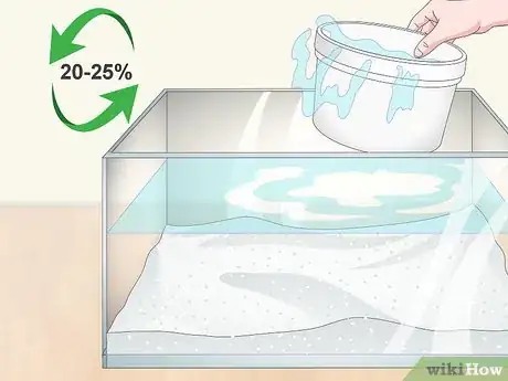 Image titled Remove Fish from an Aquarium to Clean Step 9