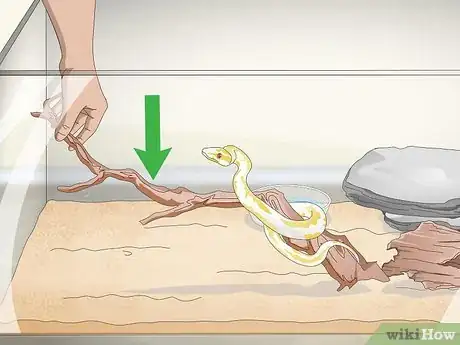 Image titled Build a Relationship with Your Snake Step 14