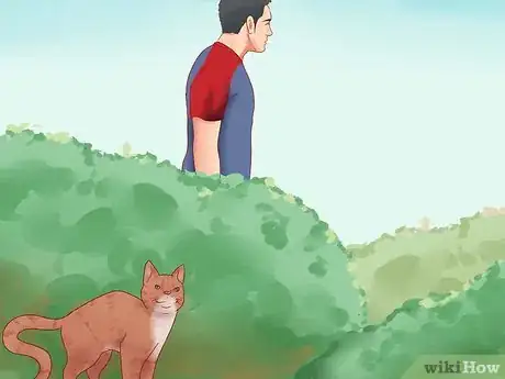 Image titled Get Your Cat to Come Inside Step 3