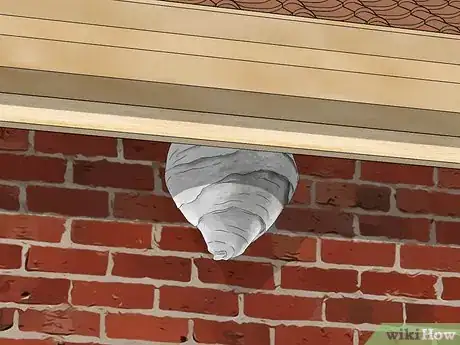 Image titled Get Rid of Paper Wasp Nests Step 2