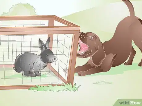 Image titled Build a Rabbit Run Step 2