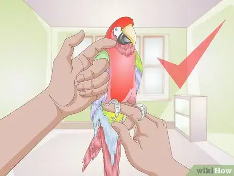 Image titled Trim Parrot Claws Step 1